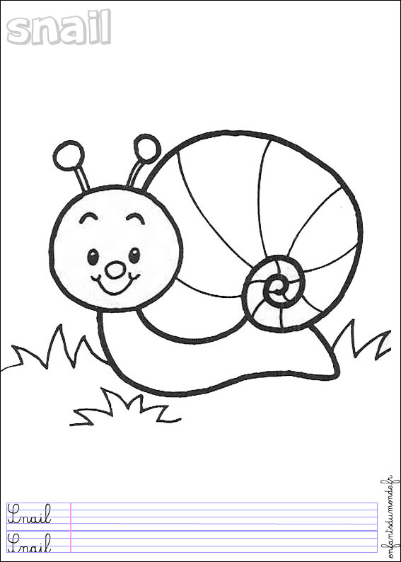 coloriage escargot 2
